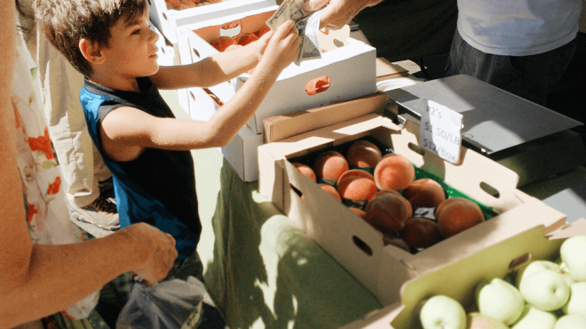 farmers market insurance